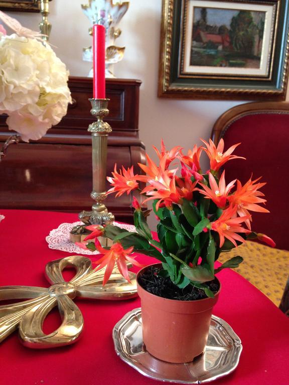 La Maison Du Peintre En Provence Bed & Breakfast Mallemort