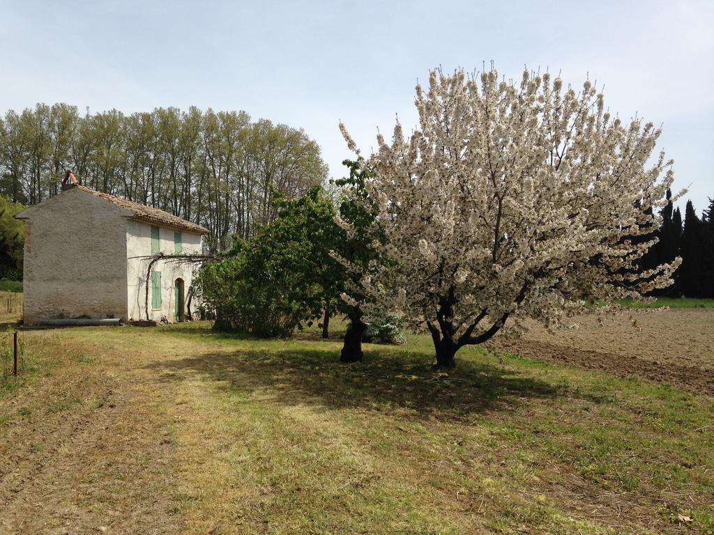 La Maison Du Peintre En Provence Bed & Breakfast Mallemort