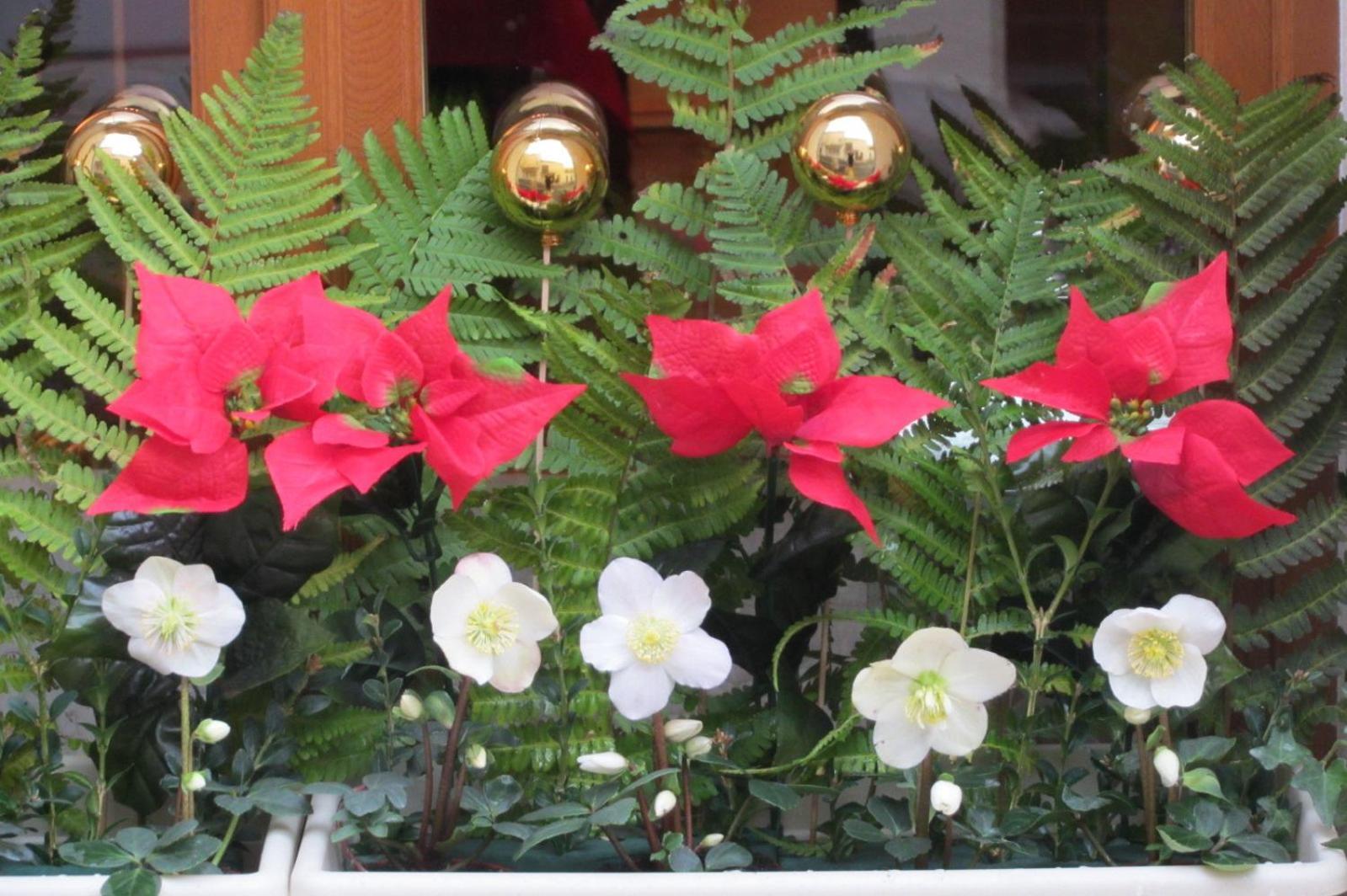 Bed & Breakfast La Maison Du Peintre En Provence 3*